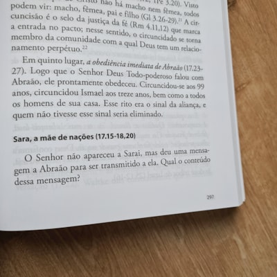 image_33dd0984-da3e-40e2-9dff-d9fd595a0ade