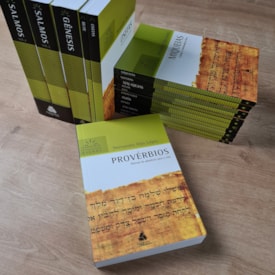 Segunda imagem do produto kit Comentários Expositivo Antigo testamento | Hernandes Dias Lopes