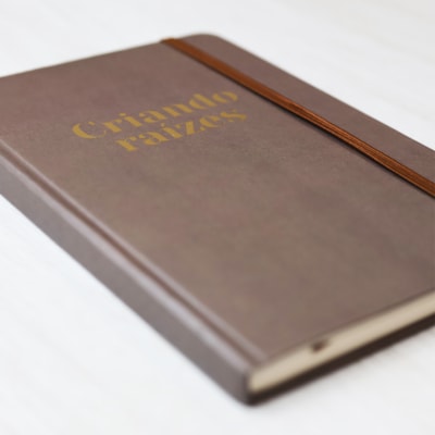 image_999ed201-c258-4437-8001-9bdefbada687