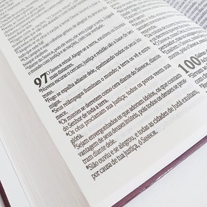 Kit de 10 Bíblia Sagrada Foi na Cruz | NVT | letra Normal | Capa Dura