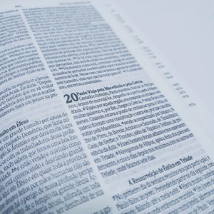 Kit de 10 Bíblia Sagrada Jardim Regado | NVI | Letra Normal | Capa Dura