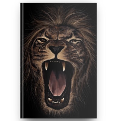 image_7f2782cb-ef0e-474e-93c0-05c7fd3e1b26