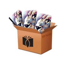 Segunda imagem do produto Kit de 10 Bíblias Leão Consumado | NVI | Letra Normal | Flexível Soft Touch