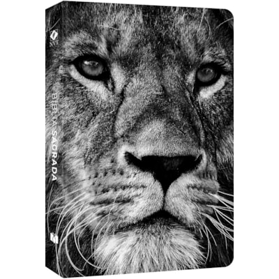 image_1a4a8af7-84bc-4c8d-87a9-f4e810e10c20