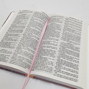 Kit de 10 Bíblias Leão Yeshua | ACF | Letra Maior | Capa Dura