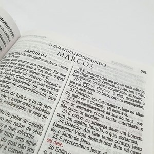 Kit de 10 Bíblias Leão Yeshua | ACF | Letra Maior | Capa Dura