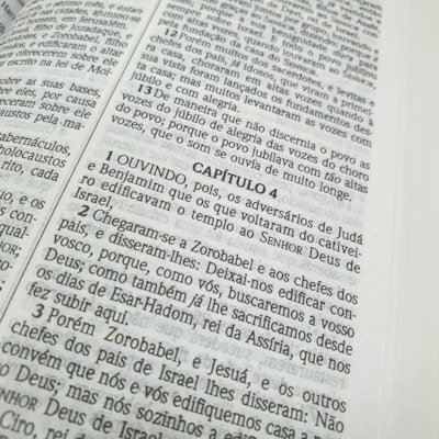 image_3de70a11-01dc-4b60-8d00-467598820fbb