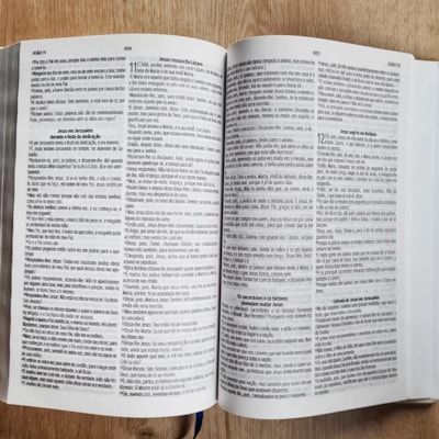 image_2e7e399c-33ef-4db2-9543-e67efcb2ab4f