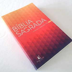 Kit de 10 Bíblias Prisma Coral | ACF | Letra Normal | Brochura