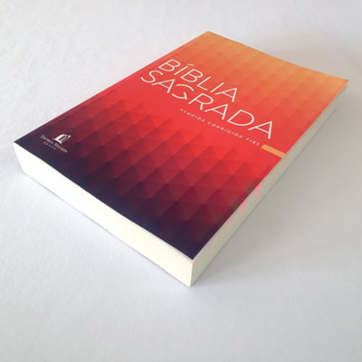 image_68834c67-bfbf-4634-95ab-8dc5c7cb51d0