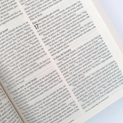 image_3636c4c8-dd63-4cfa-8490-1db6c7a0732c