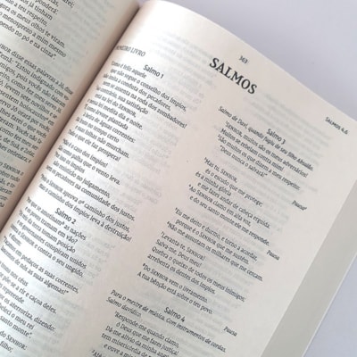 image_054f2559-3fe1-4bb8-9b13-32421216abe4