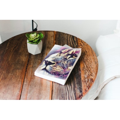 image_e5ec47c1-2901-4e4f-8240-5f01b318482b