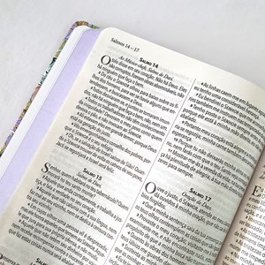 Kit de Bíblias Cálamo e Canela | Espiral e Capa Dura