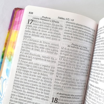 image_ef5ce09f-7ac2-4db4-b8ae-d0570026b8ac