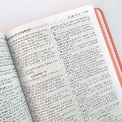 image_e8d77cc8-d1c2-4fc3-80f6-ad04a1667f81