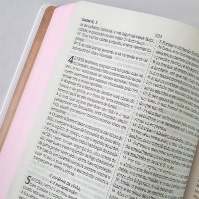 image_fdfd4008-4f70-4464-88ba-89153d87d17f