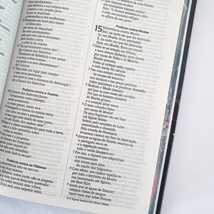 Kit de Bíblias Leão Grafite | Espiral e Capa Dura