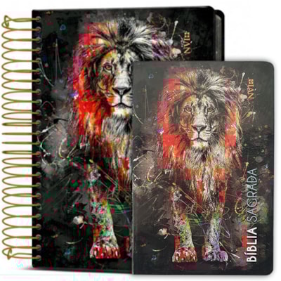 Imagem Principal - c7e445fc-b2ca-46c0-9e3f-5dc620b88e87