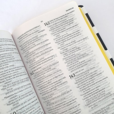 image_195d18c6-181c-43a2-8c66-393f27f7b65e