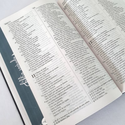 image_a3ad69d1-f480-4787-9d32-0623541c2164