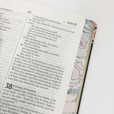 image_5f921d41-73ca-4ae2-a70d-9f360579cf93