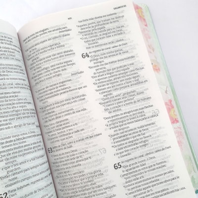 image_36c7f744-f52f-4196-970f-65ae0a33ecd7