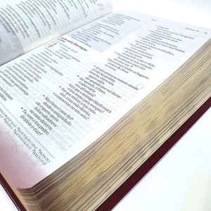 Kit de Toda Mulher | Bíblia Pink e Devocional