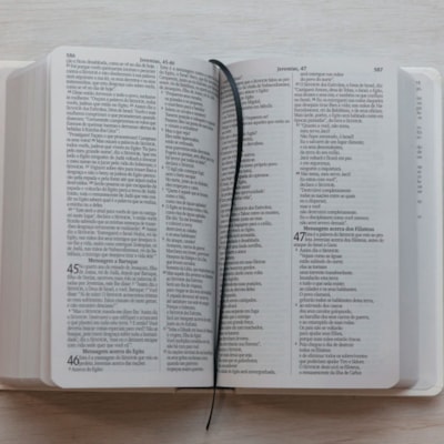 image_5be55b92-df6b-4a8a-8add-028155330250