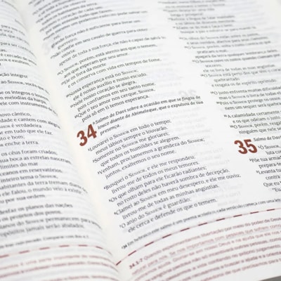 image_65dcffae-8b47-426b-8638-2cfede05741f