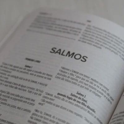 image_0dca5ae3-7599-4c09-a2a7-864d96baeeea