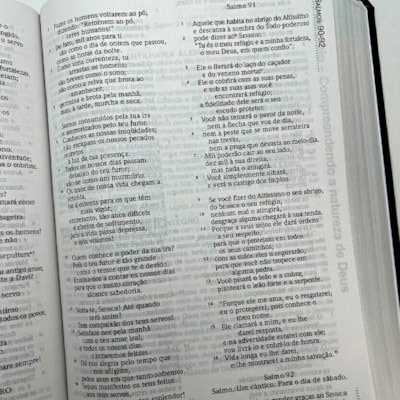 image_21944a0a-e1ed-4df8-9e08-c3d31ab74da8