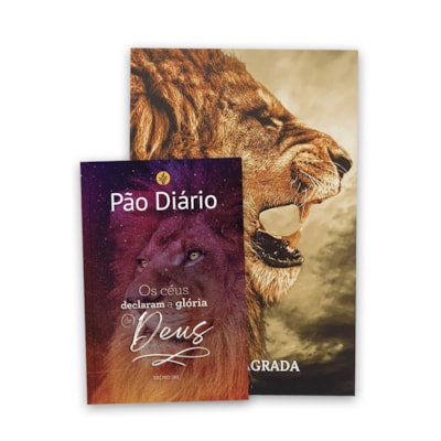 Imagem Principal - c0d43254-fcea-4243-8c46-7d0ada443477