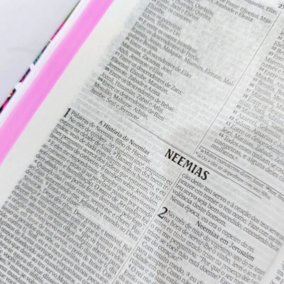 image_36bd37ec-968d-4c9a-9880-8b826174b6dc