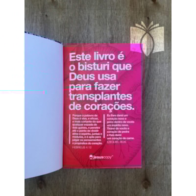 image_c3dd512e-f503-4a2b-9881-16050fe7f1d1