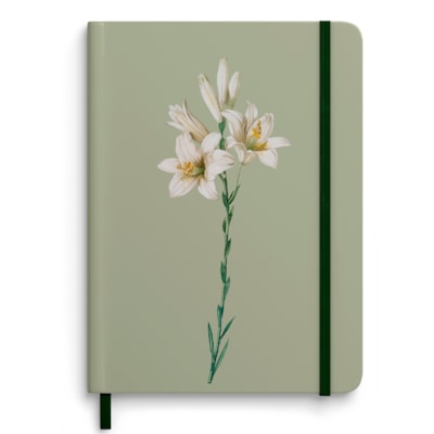 image_2d2924b1-c474-4f19-b90b-43d7f70d88e0