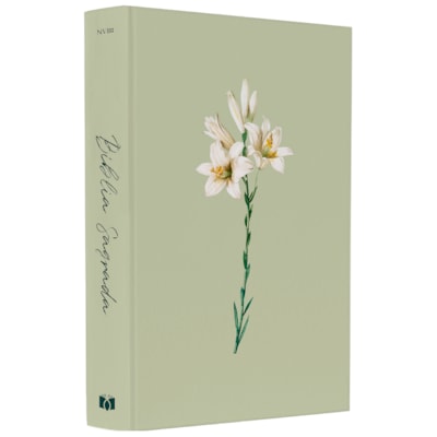 image_49b541e6-e04b-4fac-bf46-c4f360e0eac1