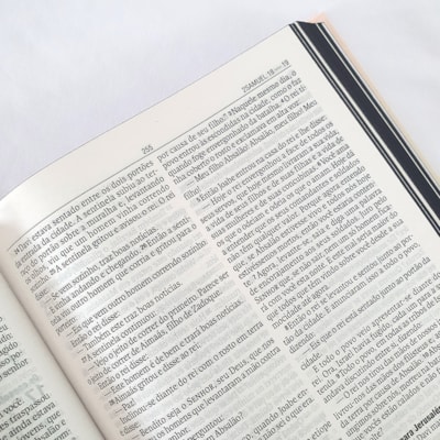 image_ed74ca00-78f3-4298-806f-e5c4b965a8ec