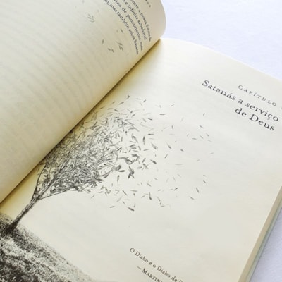 image_a9b80c26-6a05-426f-85c3-67e53f7cefc6