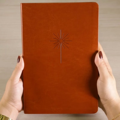 image_c09e566f-0361-4c87-a447-fc25b3647d27