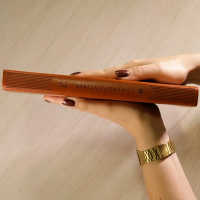 image_3316c725-29ef-4911-9590-e5f99e16b6e3