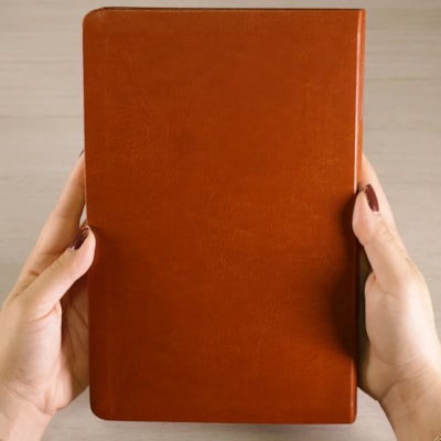 image_05fe08c0-f937-44fa-a3e8-d9295c26f833