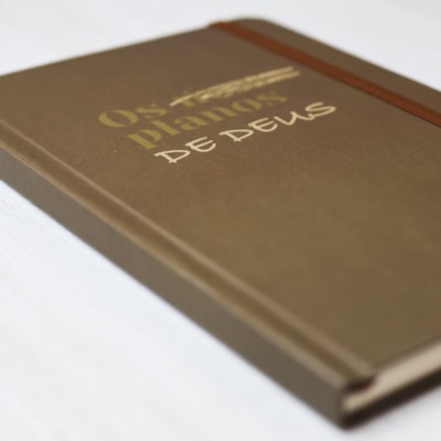 image_7baf7fa6-6e35-41ff-aaf5-69dc47b29e3a