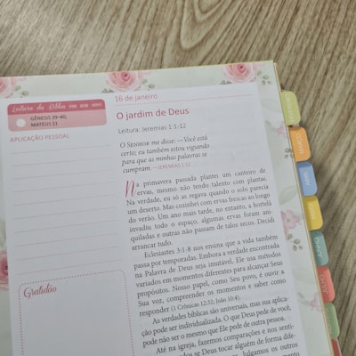 image_252efecd-24e6-4fb9-838f-872ebc83127a