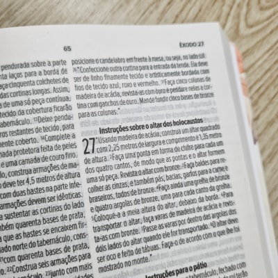 image_22dc2f0f-3779-4185-8f8d-eb11129e558a