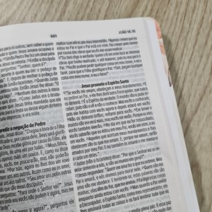 Kit Planner e Bíblia Feminina