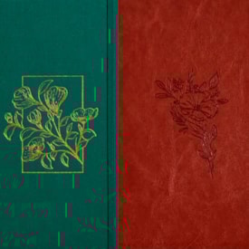 Kit Planner Meu Plano Perfeito | Capa Dura Com Tecido Verde + Bíblia Sagrada Essencia Leia e Anote