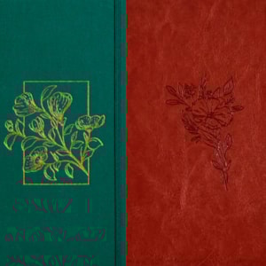 Kit Planner Meu Plano Perfeito | Capa Dura Com Tecido Verde + Bíblia Sagrada Essencia Leia e Anote