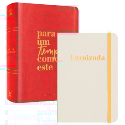 Imagem Principal - 2807daea-91a8-4b28-8088-d64dc7f5c2ad
