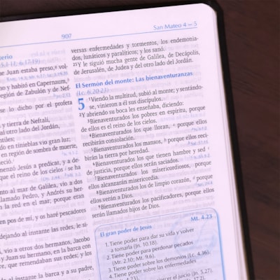 image_989f2a92-372d-4028-b4fe-d5bf25fcb231